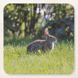 Sunny Bunny Rechteckiger Pappuntersetzer