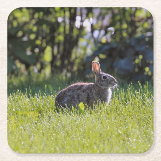 Sunny Bunny Rechteckiger Pappuntersetzer (Vorderseite)