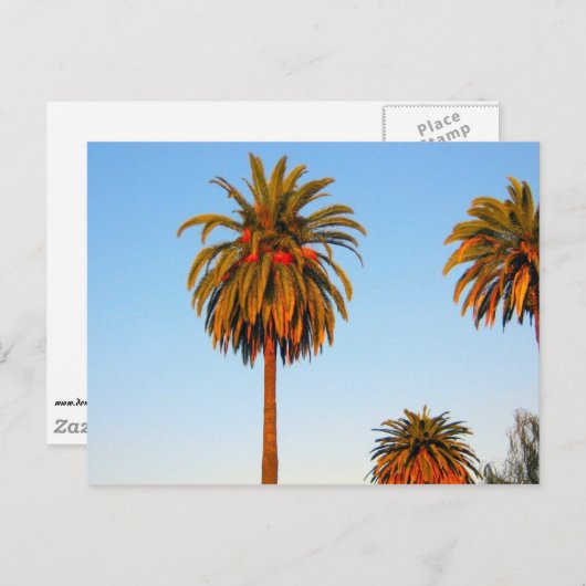 Sunny California Palm Tree Postcard Postkarte (Vorne/Hinten)