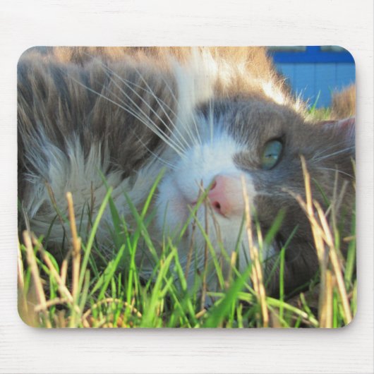 Sunny Cat ist sonnig Mousepad (Vorne)