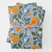 Sunny Citrus Orange Grove Muster Geschenkpapier Set (Beispiel)