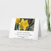Sunny Daffodil Karte (Rückseite)