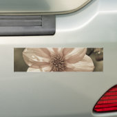 Sunny Dahlia Autoaufkleber (Auf Auto)