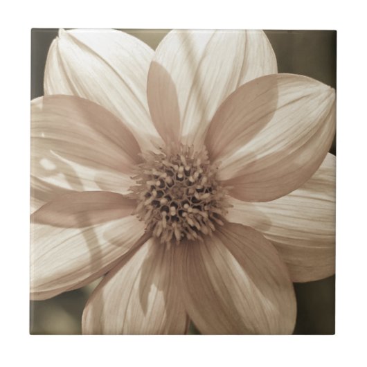 Sunny Dahlia Fliese (Vorderseite)