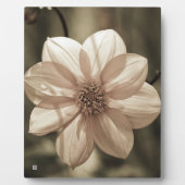 Sunny Dahlia Fotoplatte (Vorderseite)