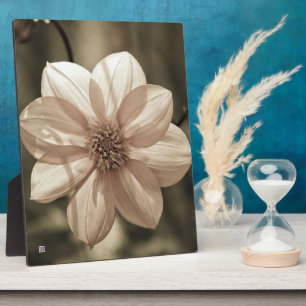 Sunny Dahlia Fotoplatte