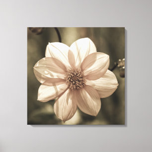 Sunny Dahlia Leinwanddruck