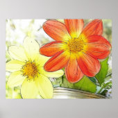 Sunny Dahlias Poster (Vorne)