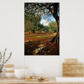 Sunny day in the olive garden poster (Küche)