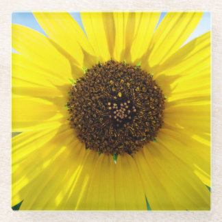 Sunny Daze plastic drink coaster Glasuntersetzer