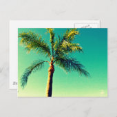 Sunny Florida Palm Tree Sky Picture Postkarte (Vorne/Hinten)