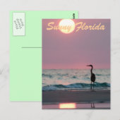 Sunny Florida Postkarte (Vorne/Hinten)