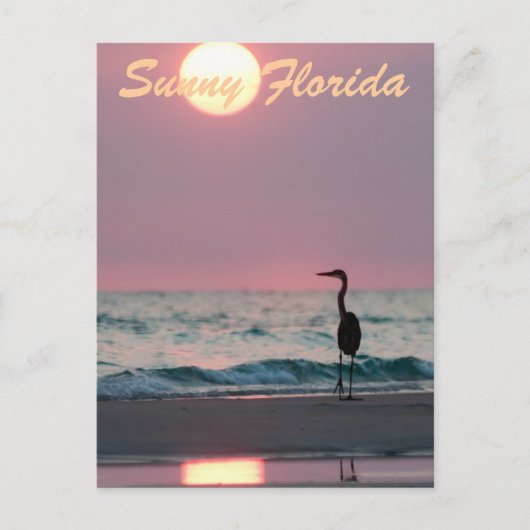 Sunny Florida Postkarte (Vorderseite)