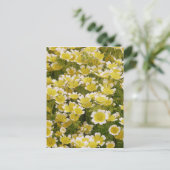 Sunny Gold White Blume Postkarte (Stehend Vorderseite)