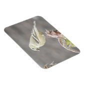 Sunny Goldfinch und Sonnenblumenmagnet Magnet (Rechte Seite)