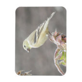 Sunny Goldfinch und Sonnenblumenmagnet Magnet (Vertikal)