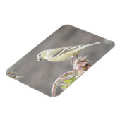 Sunny Goldfinch und Sonnenblumenmagnet Magnet (Linke Seite)