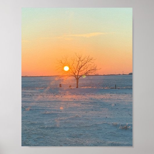 Sunny Graves Poster (Vorne)