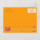 Sunny Greetings Postcard Postkarte (Rückseite)