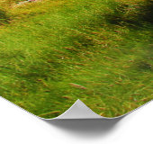 Sunny Hillside Poster (Ecke)