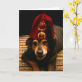 Sunny in a Fez - Grußkarte (innen leer) Karte (Gelbe Blume)