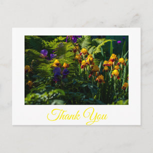 Sunny Iris Blume Garden Danke Postcard Postkarte