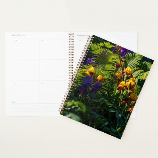 Sunny Iris Blume Garten Pflanze Planer (Anzeige)