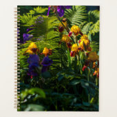 Sunny Iris Blume Garten Pflanze Planer (Vorderseite)