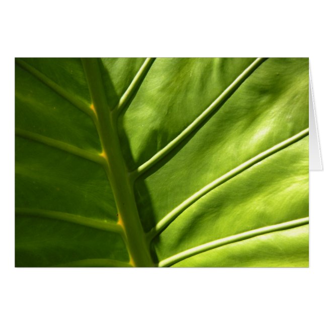 Sunny Leaf Card (Vorderseite (Horizontal))