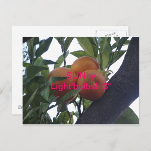 SUNny Light`Bulbs - Postkarten :3 (Vorne/Hinten)