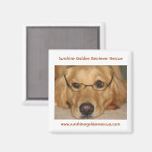 Sunny Magnet - Sunshine Golden Retriever Rescue.. (Vorderseite/Rückseite)