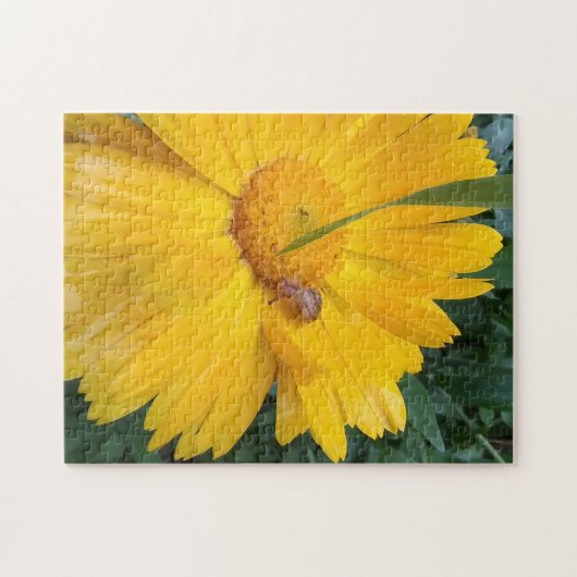 Sunny Marigold Bloom with Tiny Visitor Puzzle (Horizontal)