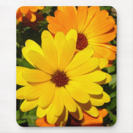 SUNNY MARIGOLD Mousepad (Vorne)