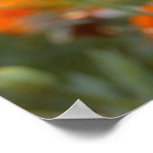 Sunny Marigold Poster (Ecke)