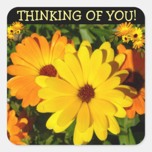 Sunny Marigold Thinking of You Quadratischer Aufkleber