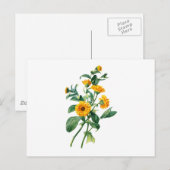 Sunny Marigolds Gezeichnet von der Natur Postkarte (Vorne/Hinten)