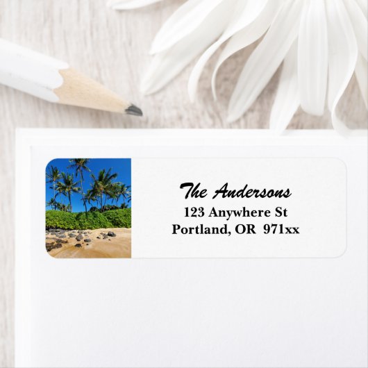 Sunny Maui Beach (Insitu)