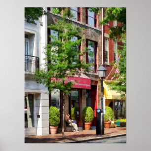 Sunny Morning Alexandria VA Poster