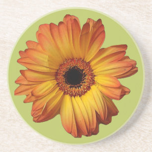 Sunny Orange gerbera flower bloom Getränkeuntersetzer