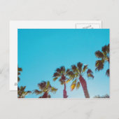 Sunny Palms Postkarte (Vorne/Hinten)