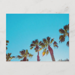 Sunny Palms Postkarte