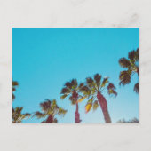 Sunny Palms Postkarte (Vorderseite)