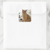 Sunny Papochie Stickers (Tasche)