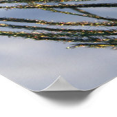 Sunny Peacock Feather Poster (Ecke)