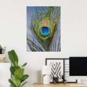 Sunny Peacock Feather Poster (Heimbüro)