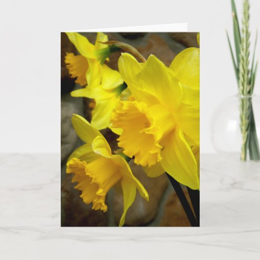 Sunny Petals Karte (Vorderseite)