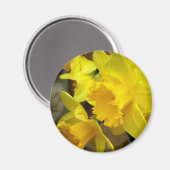Sunny Petals Magnet (Vorderseite/Rückseite)