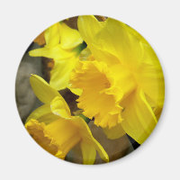 Sunny Petals