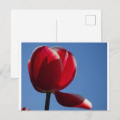 Sunny Red Tulip Nah Up DIY Postkarte (Vorne/Hinten)