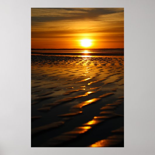 Sunny San Diego Poster (Vorne)